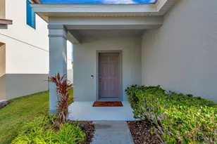 9116 Mountain Camellia Ln, Riverview, FL 33578 - Photo 7