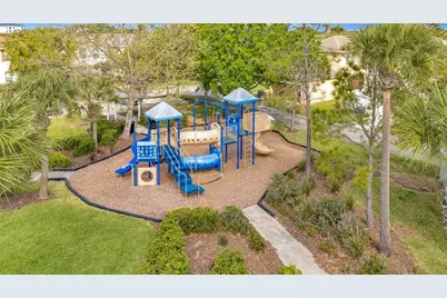 9116 Mountain Camellia Lane, Riverview, FL 33578 - Photo 47