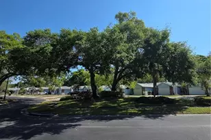 3121 E Beecher Dr E, Palm Harbor, FL 34683 - Photo 41