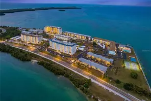 7 Island Park Pl, Dunedin, FL 34698 - Photo 45