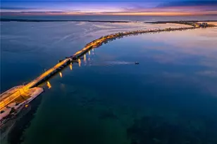 7 Island Park Pl, Dunedin, FL 34698 - Photo 49