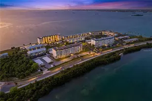 7 Island Park Pl, Dunedin, FL 34698 - Photo 51