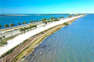 7 Island Park Pl, Dunedin, FL 34698 - Photo 61