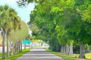 7 Island Park Pl, Dunedin, FL 34698 - Photo 69