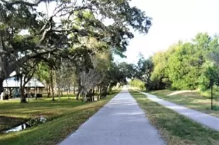 7 Island Park Pl, Dunedin, FL 34698 - Photo 71