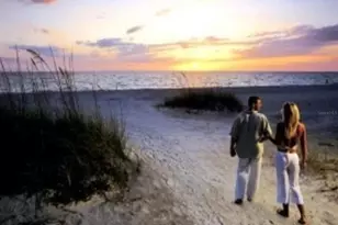 7 Island Park Pl, Dunedin, FL 34698 - Photo 81