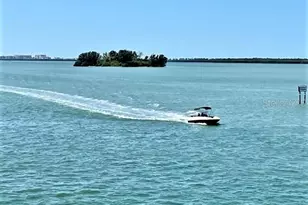 7 Island Park Pl, Dunedin, FL 34698 - Photo 63