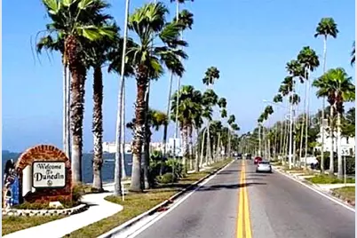 7 Island Park Place #204, Dunedin, FL 34698 - Photo 65