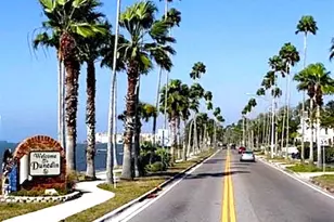 7 Island Park Pl, Dunedin, FL 34698 - Photo 65