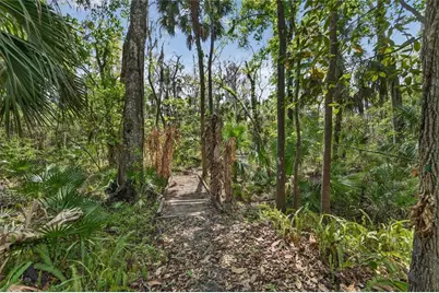 902 River Rapids Avenue, Brandon, FL 33511 - Photo 75