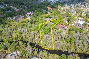 902 River Rapids Ave, Brandon, FL 33511 - Photo 85