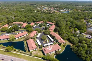 1801 E Lake Rd, Palm Harbor, FL 34685 - Photo 51