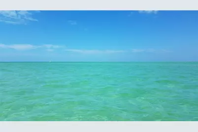 4457 Floramar Terrace, New Port Richey, FL 34652 - Photo 21