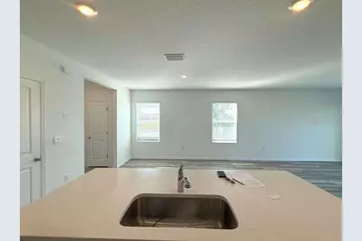 32893 Osprey Peak Way, San Antonio, FL 33576 - Photo 9