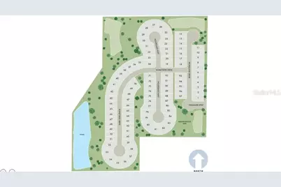 12556 Homeland Drive, Dade City, FL 33525 - Photo 9