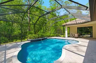 4120 Ridgemoor Dr, Palm Harbor, FL 34685 - Photo 43