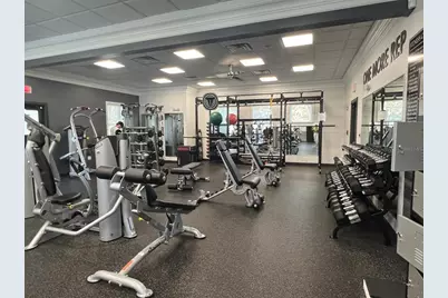 14520 Mirabelle Vista Circle, Tampa, FL 33626 - Photo 53