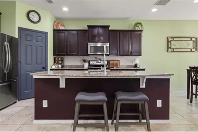 647 Alpine Thistle Drive, Brooksville, FL 34604 - Photo 43