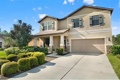 647 Alpine Thistle Drive, Brooksville, FL 34604 - Photo 3