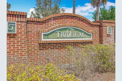 647 Alpine Thistle Drive, Brooksville, FL 34604 - Photo 51