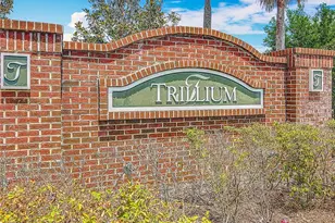 647 Alpine Thistle Dr, Brooksville, FL 34604 - Photo 51