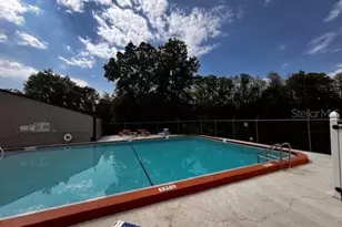 11606 Baywood Meadows Dr, New Port Richey, FL 34654 - Photo 37