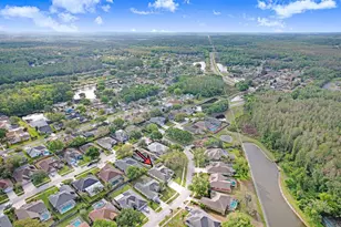 465 Knight Dr, Tarpon Springs, FL 34688 - Photo 85