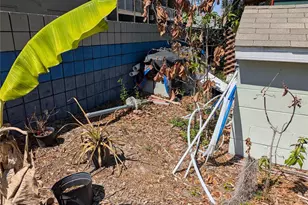 8740 N Tangerine Pl, Tampa, FL 33617 - Photo 23