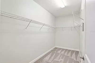 6617 Citrus Creek Lane, Tampa, FL 33625 - Photo 29