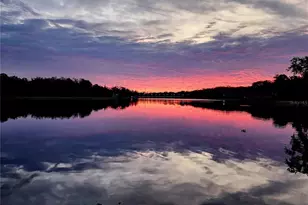 [Address not provided], Tampa, FL 33610 - Photo 37