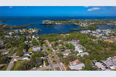 815 Florida Avenue, Palm Harbor, FL 34683 - Photo 9