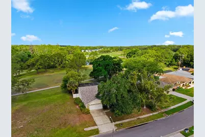 3506 Fairway Forest Drive, Palm Harbor, FL 34685 - Photo 35