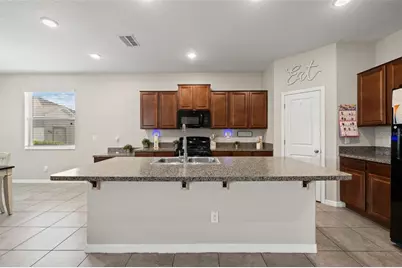 21126 Passive Porch Drive, Land O Lakes, FL 34637 - Photo 5