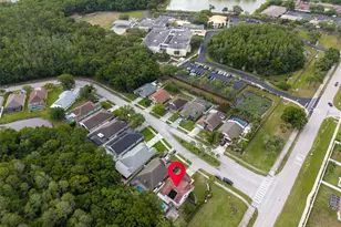 301 Tavernier Dr, Oldsmar, FL 34677 - Photo 61