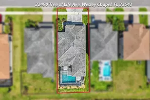 32490 Tree of Life Ave, Wesley Chapel, FL 33543 - Photo 73