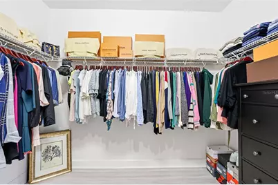 32490 Tree Of Life Avenue, Wesley Chapel, FL 33543 - Photo 53