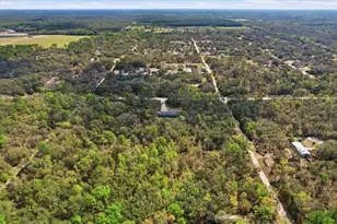 7290 NE 110th Ave, Bronson, FL 32621 - Photo 47