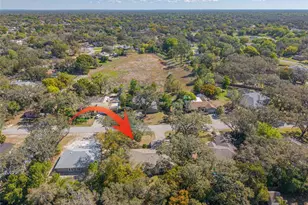 1101 Dagmar Ave, Spring Hill, FL 34606 - Photo 45