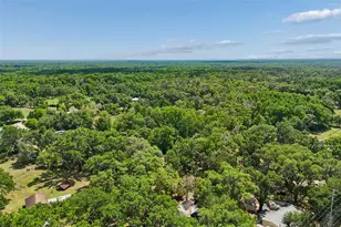 15311 Morris Bridge Rd, Thonotosassa, FL 33592 - Photo 57