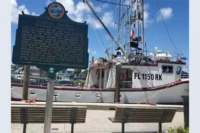 39820 US Highway 19 N #182, Tarpon Springs, FL 34689 - Photo 81