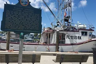 39820 US Hwy 19 N, Tarpon Springs, FL 34689 - Photo 81