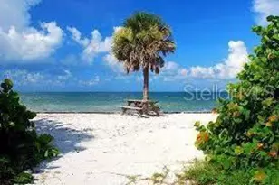 1790 Santa Barbara Dr, Dunedin, FL 34698 - Photo 5