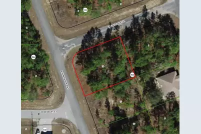 7101 N Henderson Way, Dunnellon, FL 34434 - Photo 1