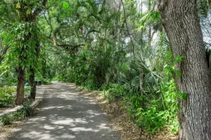 404 Marshall St, Safety Harbor, FL 34695 - Photo 67