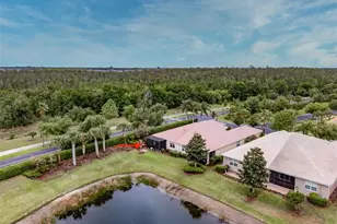 4972 Marble Springs Cir, Wimauma, FL 33598 - Photo 41