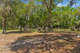 4300 Cr 673, Bushnell, FL 33513 - Photo 83