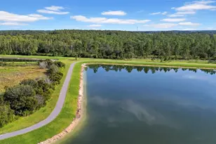 5841 Riverston Ave, Wesley Chapel, FL 33545 - Photo 21