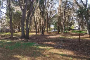 8807 Overlook Dr, Wesley Chapel, FL 33545 - Photo 43