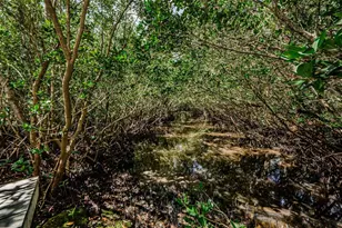 4844 Anchorage Cv, Port Richey, FL 34668 - Photo 53