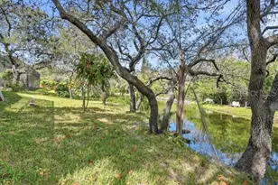1212 Weybridge Ln, Dunedin, FL 34698 - Photo 49